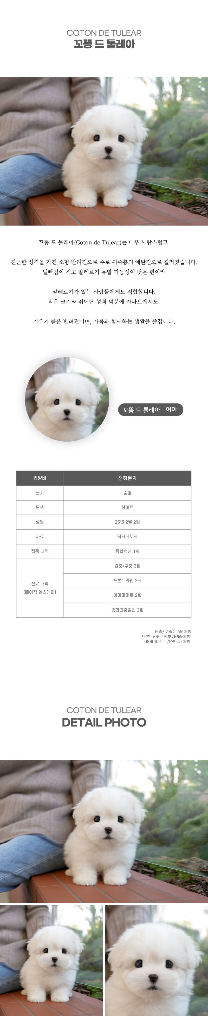 꼬똥_상세이미지_2